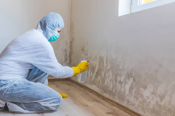 Crawl Space Mold Remediation treatment of floor joists in Marco Island
