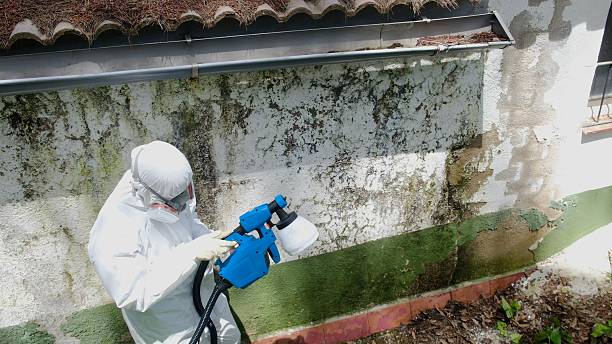 Mold Removal service in Marco Island